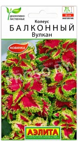 Колеус Балконный вулкан