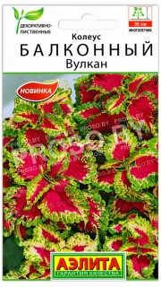 Колеус Балконный вулкан