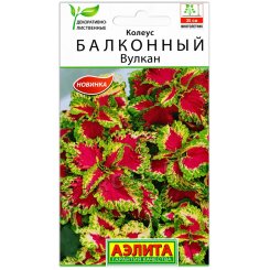 Колеус Балконный вулкан