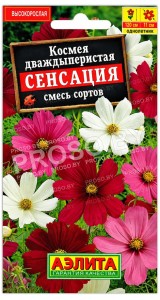 Космея Сенсация, смесь