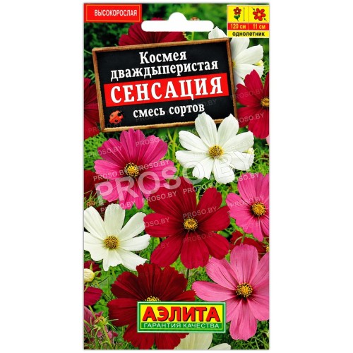 Космея Сенсация, смесь