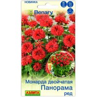 Монарда двойчатая Панорама ред