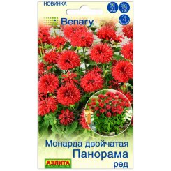 Монарда двойчатая Панорама ред