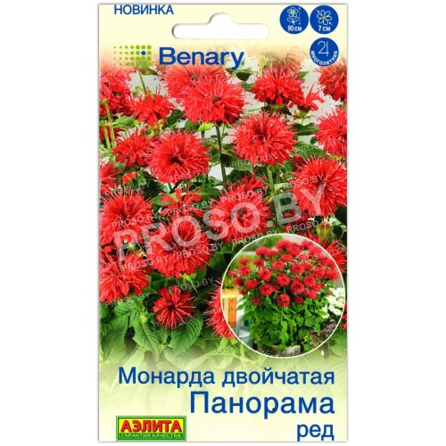 Монарда двойчатая Панорама ред