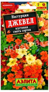 Настурция кустовая Джевел, смесь