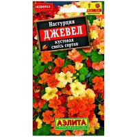 Настурция кустовая Джевел, смесь