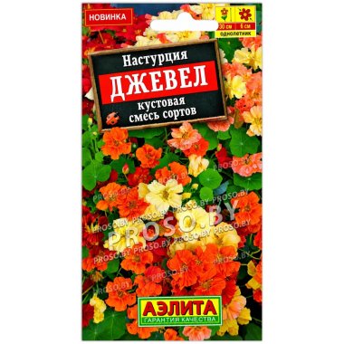 Настурция кустовая Джевел, смесь