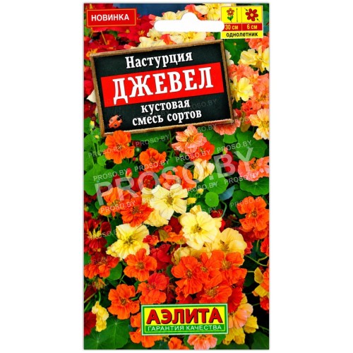 Настурция кустовая Джевел, смесь