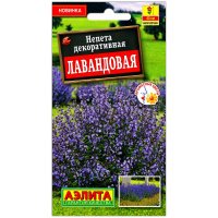 Непета декоративная Лавандовая