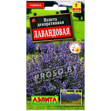 Непета декоративная Лавандовая