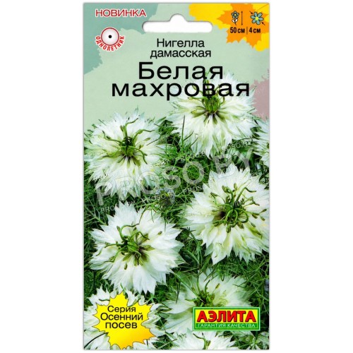 Нигелла дамасская Белая махровая