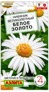 Нивяник великолепный Белое золото