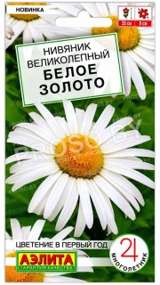 Нивяник великолепный Белое золото