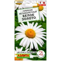 Нивяник великолепный Белое золото