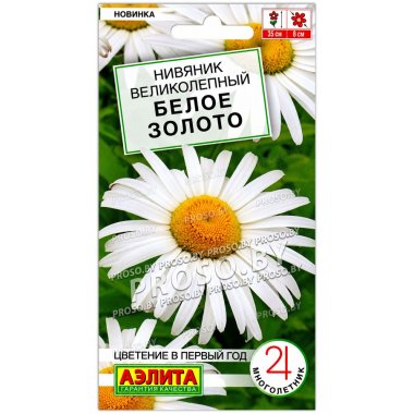 Нивяник великолепный Белое золото