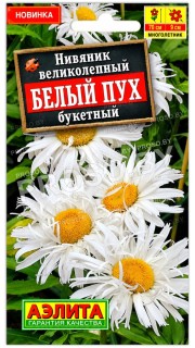 Нивяник великолепный Белый пух букетный