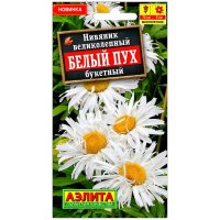 Нивяник великолепный Белый пух букетный