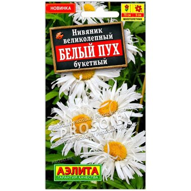 Нивяник великолепный Белый пух букетный