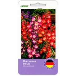 Пенстемон бородатый Рондо, смесь