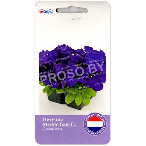 Петуния Мамбо Блю F1