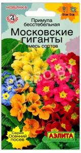 Примула бесстебельная Московские гиганты, смесь