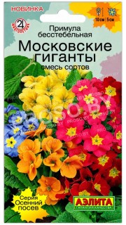 Примула бесстебельная Московские гиганты, смесь