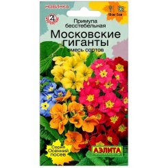 Примула бесстебельная Московские гиганты, смесь
