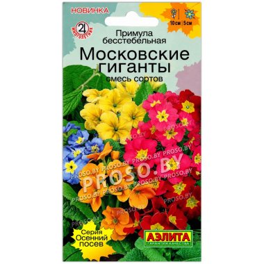 Примула бесстебельная Московские гиганты, смесь