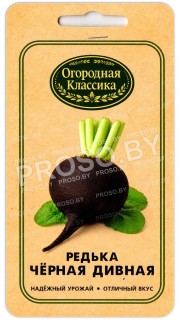 Редька Черная дивная