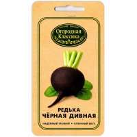 Редька Черная дивная