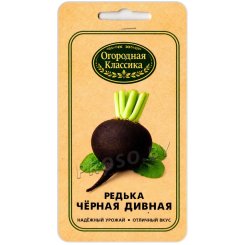 Редька Черная дивная