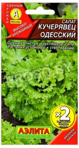 Салат Кучерявец одесский