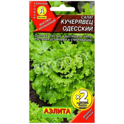 Салат Кучерявец одесский