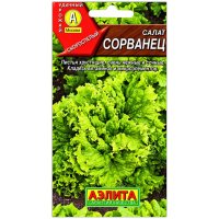 Салат Сорванец