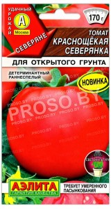 Томат Краснощёкая северянка