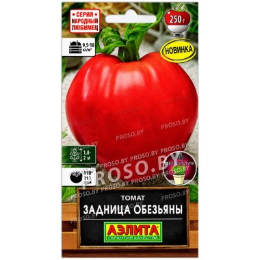 Томат Задница обезьяны