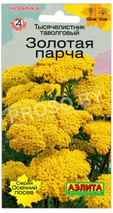 Тысячелистник таволговый Золотая парча