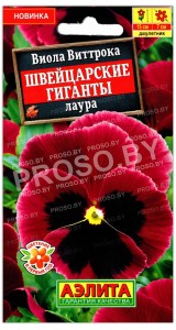 Виола виттрока Швейцарские гиганты Лаура