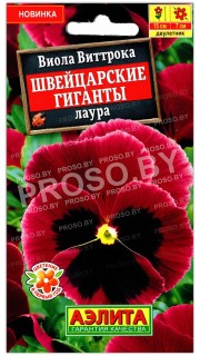 Виола виттрока Швейцарские гиганты Лаура