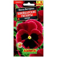 Виола виттрока Швейцарские гиганты Лаура