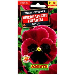 Виола виттрока Швейцарские гиганты Лаура
