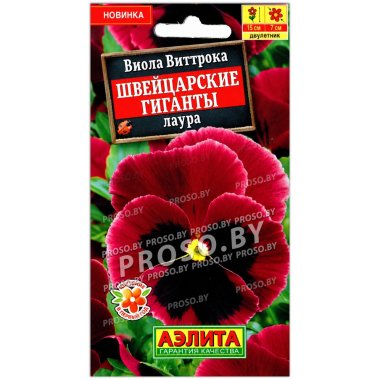 Виола виттрока Швейцарские гиганты Лаура