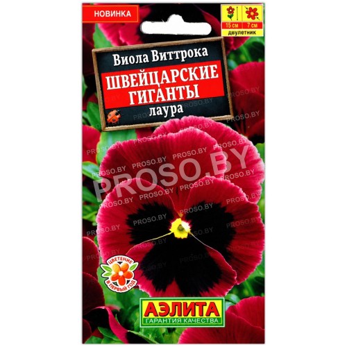Виола виттрока Швейцарские гиганты Лаура