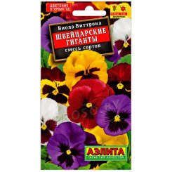 Виола виттрока Швейцарские гиганты, смесь
