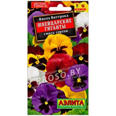 Виола виттрока Швейцарские гиганты, смесь