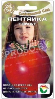 Томат Лентяйка