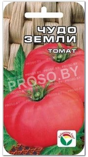 Томат Чудо земли