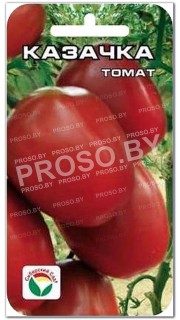 Томат Казачка
