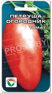 Томат Петруша огородник