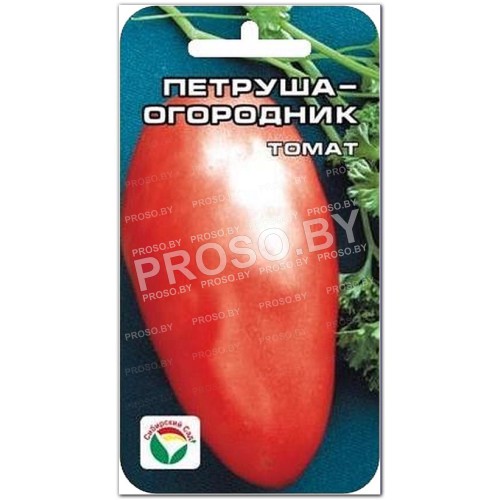 Томат Петруша огородник